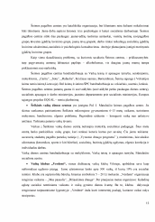 www.speros.lt